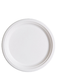 Sugarcane Plates